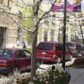 District Parking Strategy While inherently necessary to support revitalization, parking lots waste land and significantly lower densities, especially when each and every individual building has its own parking. A more efficient and appropriate...