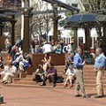 Inclusion of Public Open Space While there are several large community parks on (Willard Park) and nearby (Christian Park, Highland Park, Brookside & Spades Parks) the corridor, it is important to include a variety of...