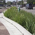 Best-Practice Stormwater Management The corridor was developed during the era of combined sewers that cause significant pollution in nearby streams during heavy rains. Washington Street revitalization should be a model for redevelopment that...